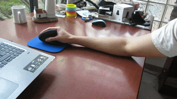 MOUSE1.GIF